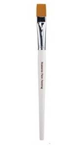 brush snazaroo flat large